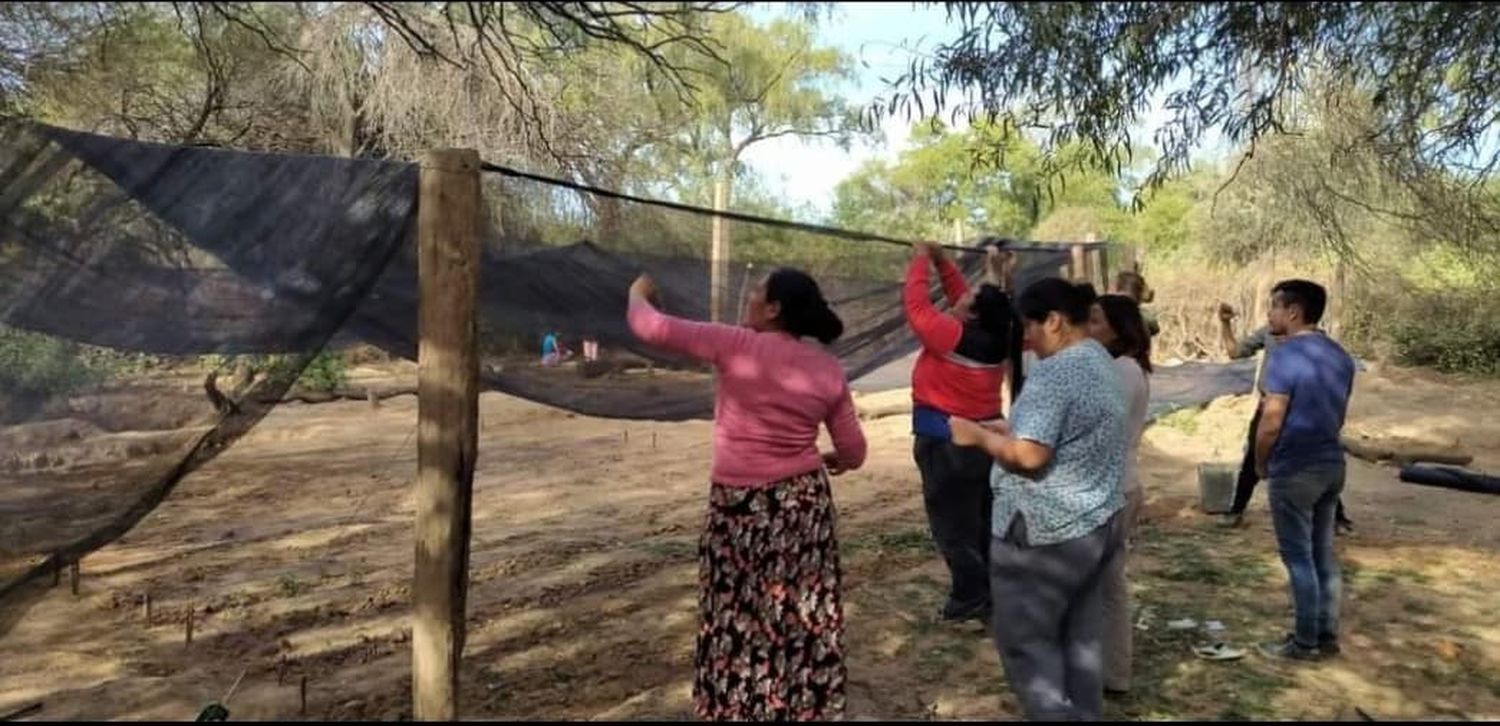 Módulo hortícola para la Asociación de Mujeres Rurales de Ramón Lista