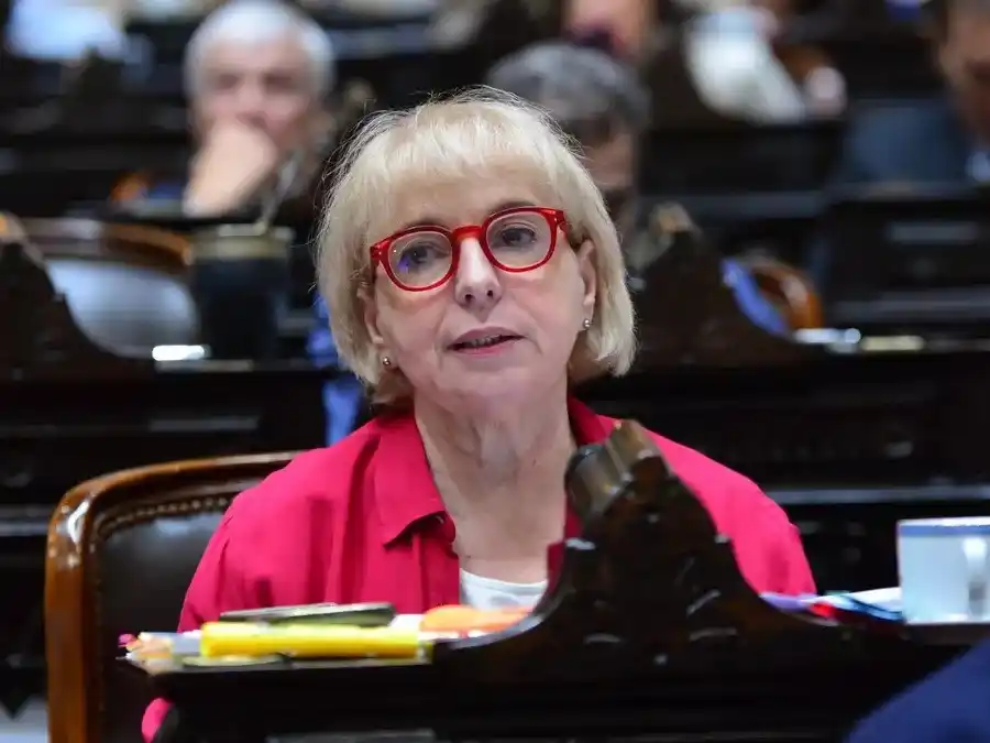 Silvana Guidici, una de las diputadas con perfil más alto.