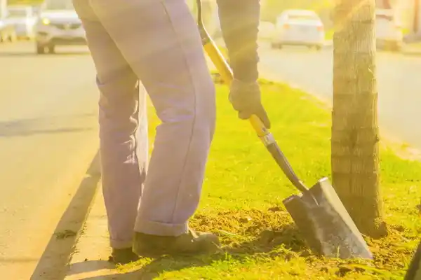 Plantaron diez nuevos árboles nativos 