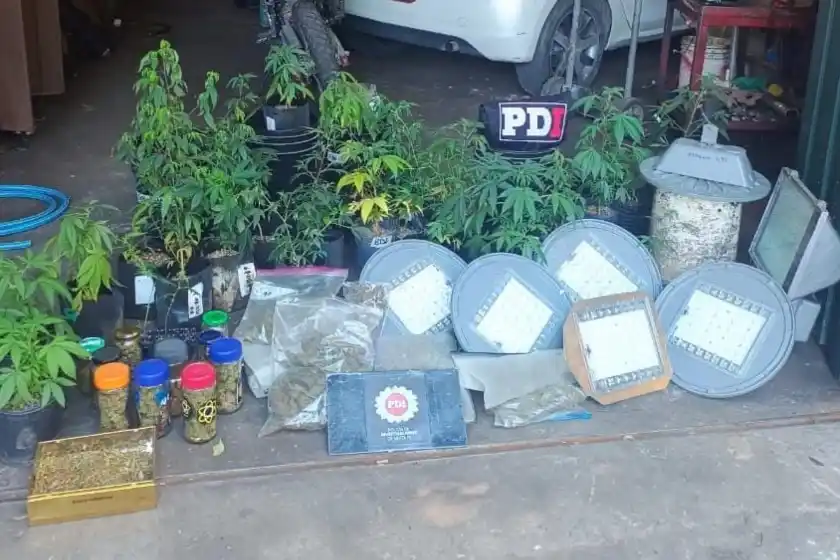 Usaron alumbrado público robado para mantener un vivero de marihuana