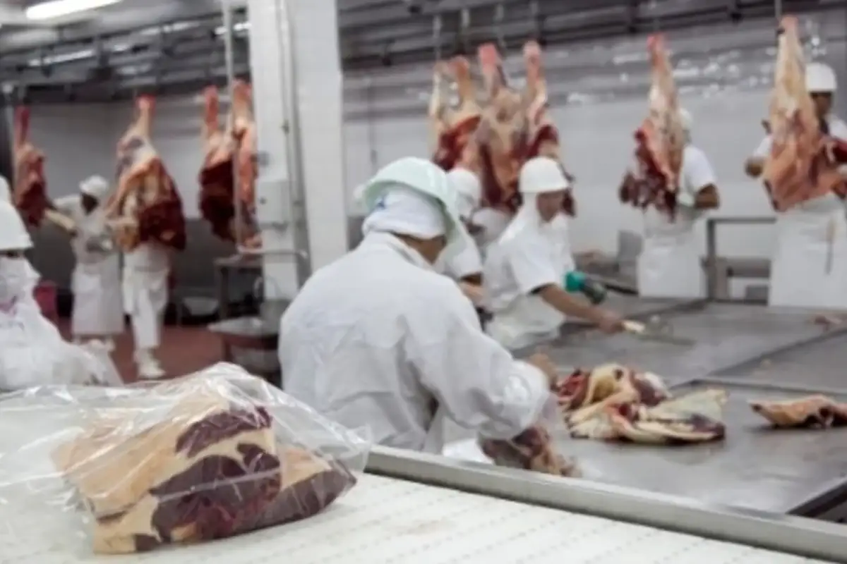 La producción de carnes subió un 0,2% mensual y 2,9% interanual.