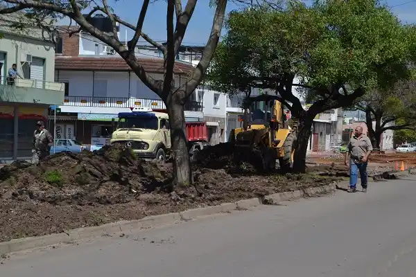 Comenzaron las obras para las bicisendas en la Avenida Parque
