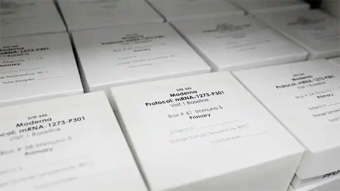  Arruinó más de 500 dosis de la vacuna de Moderna contra el coronavirus