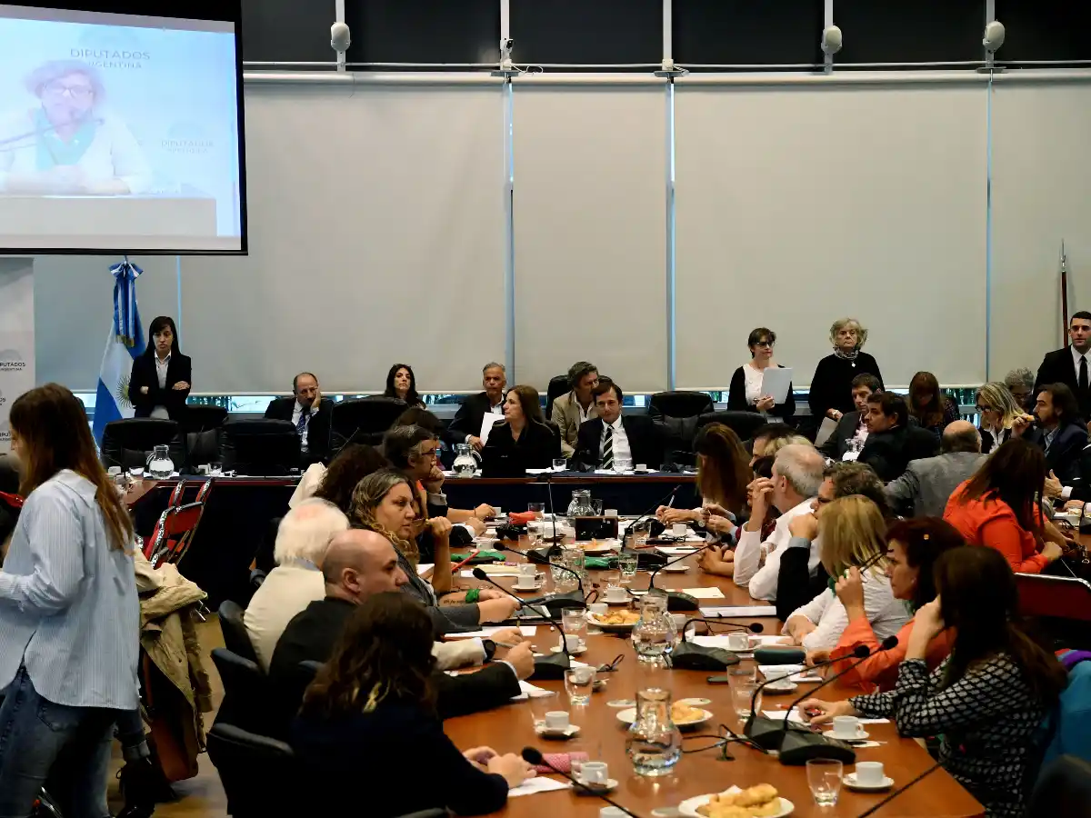 Diputados retomó el debate por la despenalización del aborto con la presencia de dirigentes, escritores y especialistas