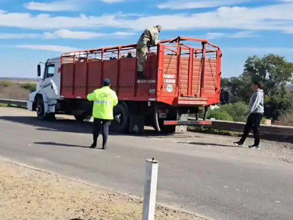 Intensos controles en rutas: vehículos y animales secuestrados, y procedimientos por irregularidades documentales