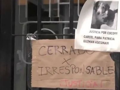 Vandalizaron el local de la dueña del perro que murió encerrado en el auto