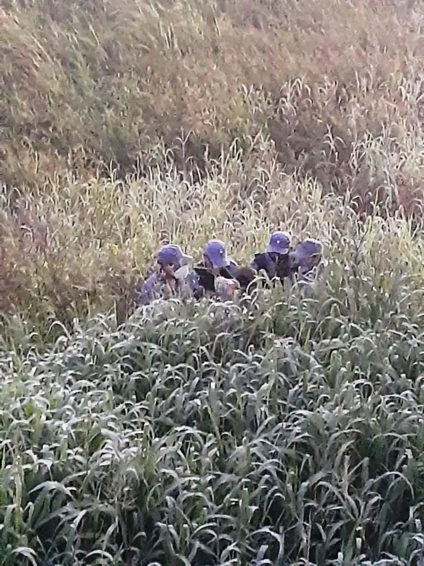 La Policía detuvo a un sujeto por tentativa de homicidio en el barrio San Agustín