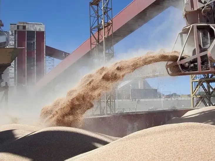 En septiembre, las empresas del sector del agro liquidaron una suma de US$ 7.107 millones.