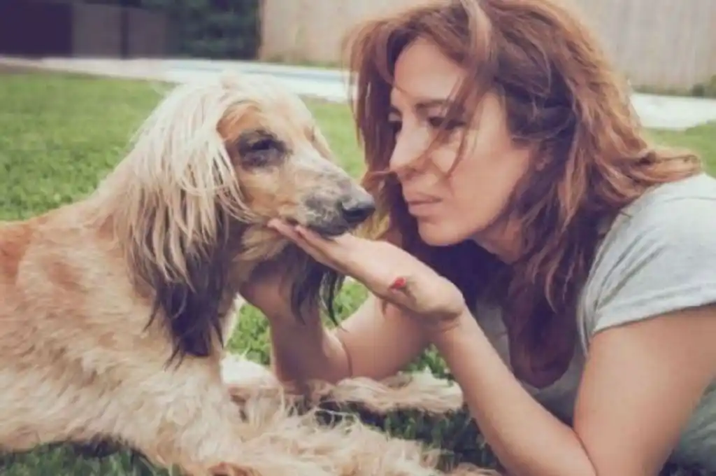 Lizy Tagliani sufrió una estafa