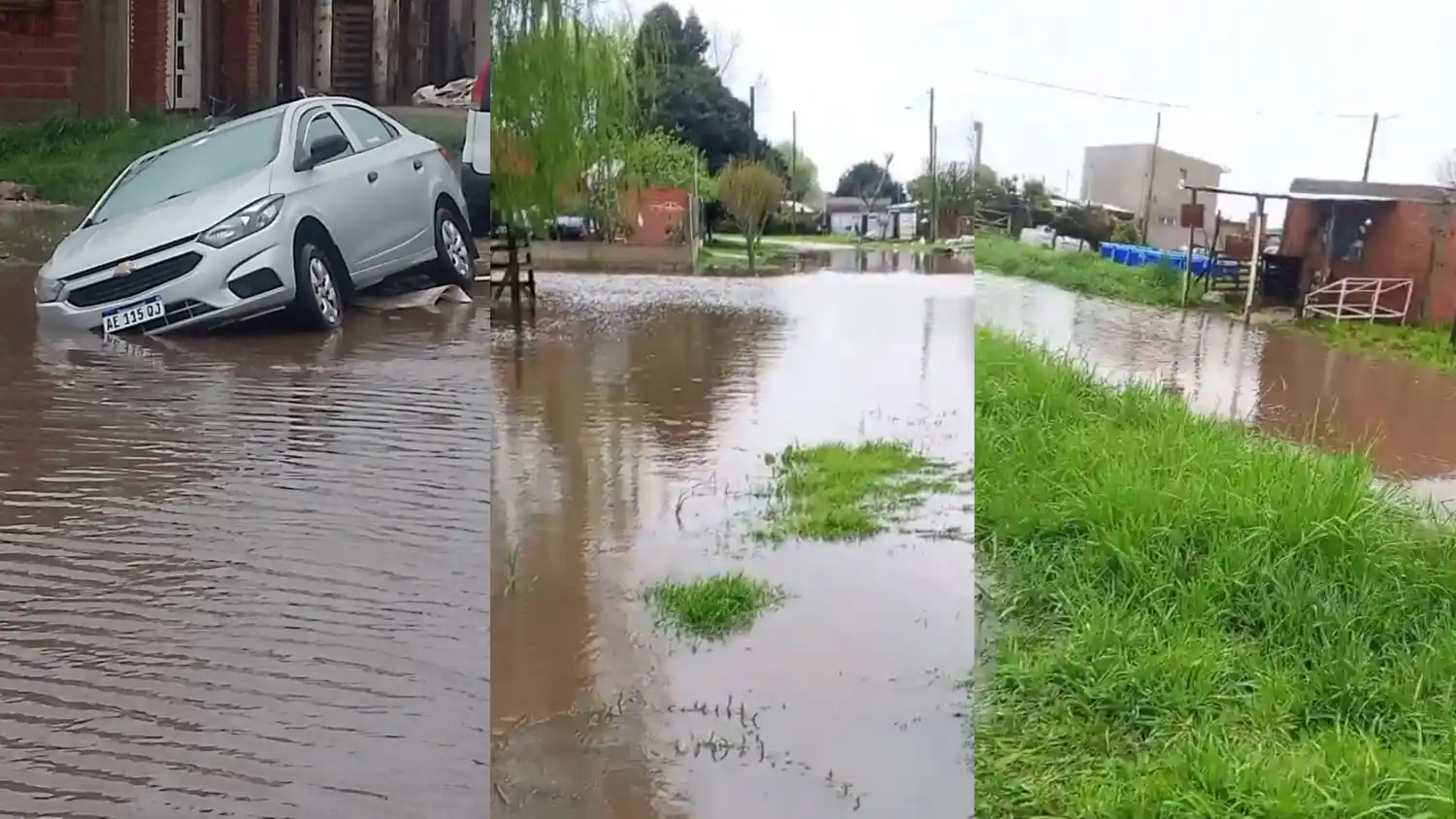 Imágenes compartidas por los vecinos