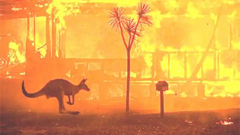 "PROBABLEMENTE ESTAMOS VIENDO C�MO PODRÍA SER EL  CAMBIO CLIMÁTICO PARA OTRAS PARTES DEL MUNDO EN LAS PRIMERAS ETAPAS EN AUSTRALIA EN ESTE MOMENTO" 