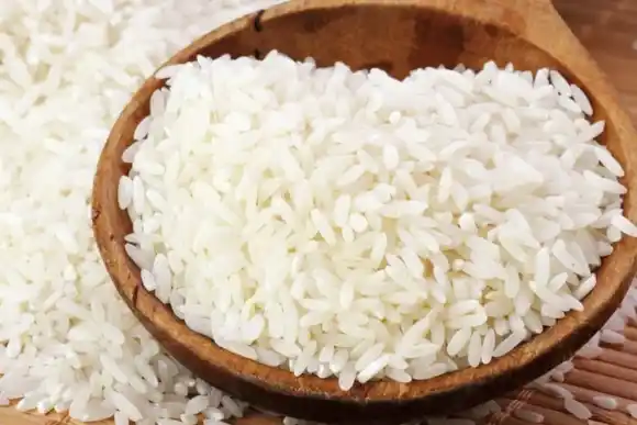 La Provincia presentó una nueva variedad de arroz que se desarrolló en San Javier