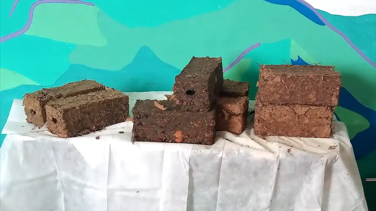 Briquetas de biomasa: universidad, sustentabilidad y territorio