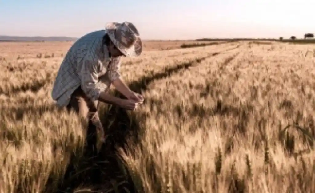 El Movimiento Nacional Campesino Indígena celebró la intervención de Vicentin