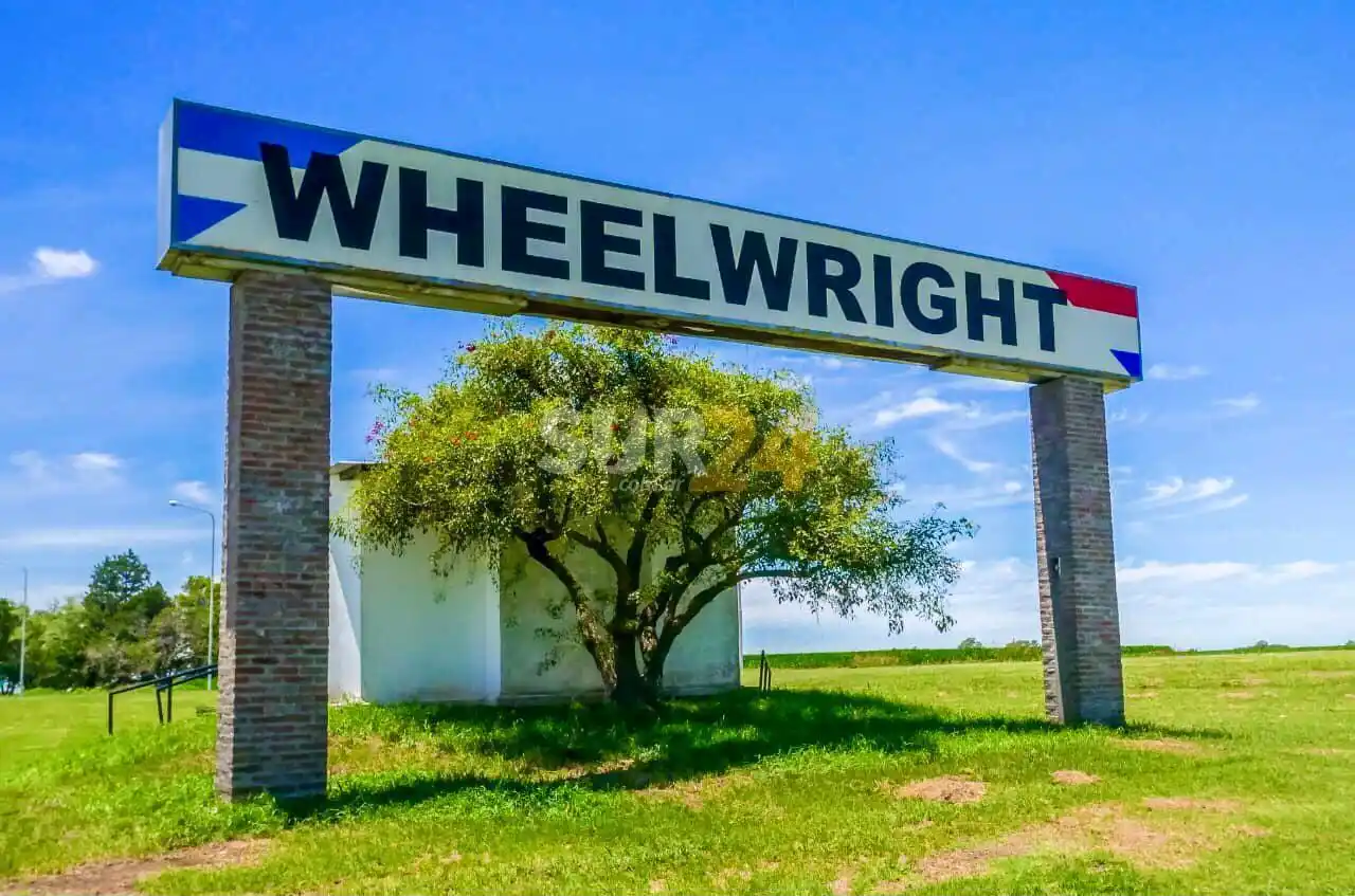 Enrico y Gianetti gestionan un proyecto medioambiental para Wheelwright