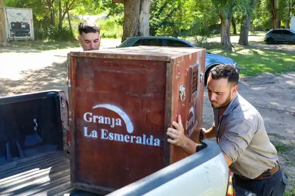 “La Esmeralda”: El centro de rescate e investigación realizaza una enorme labor a favor de los animales silvestres
