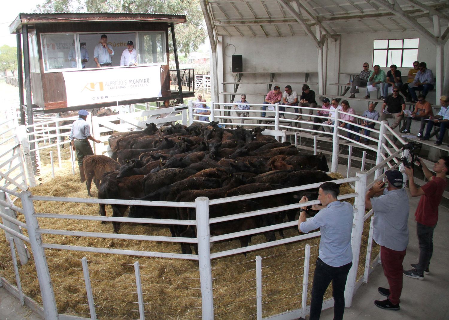 El Destete de Primavera tendrá su segundo especial en Tres Arroyos