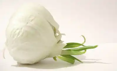 Ajo: los beneficios de comerlo crudo