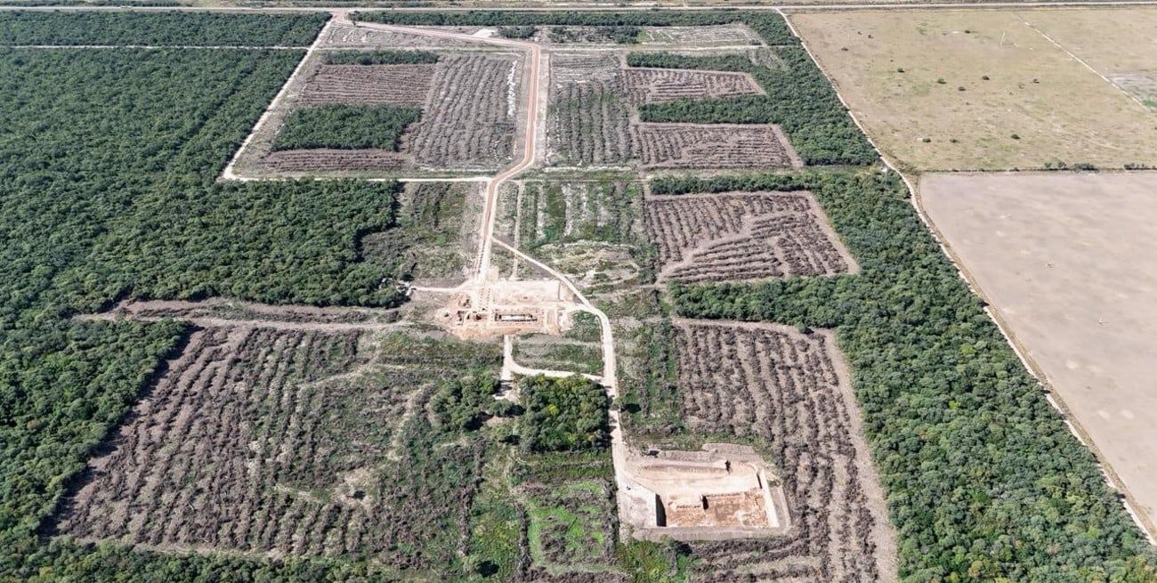 Campos del norte santafesino