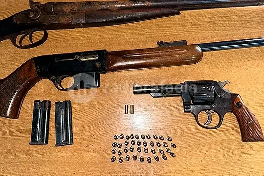 Secuestraron varias armas por una denuncia de violencia familiar en un campo de la región