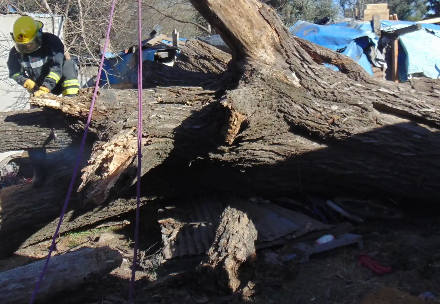 Crédito: Bomberos de Venado Tuerto.