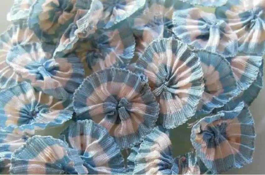 La escarapela fue establecida por un decreto del Primer Triunvirato el 18 de febrero de 1812, a solicitud de Manuel Belgrano.