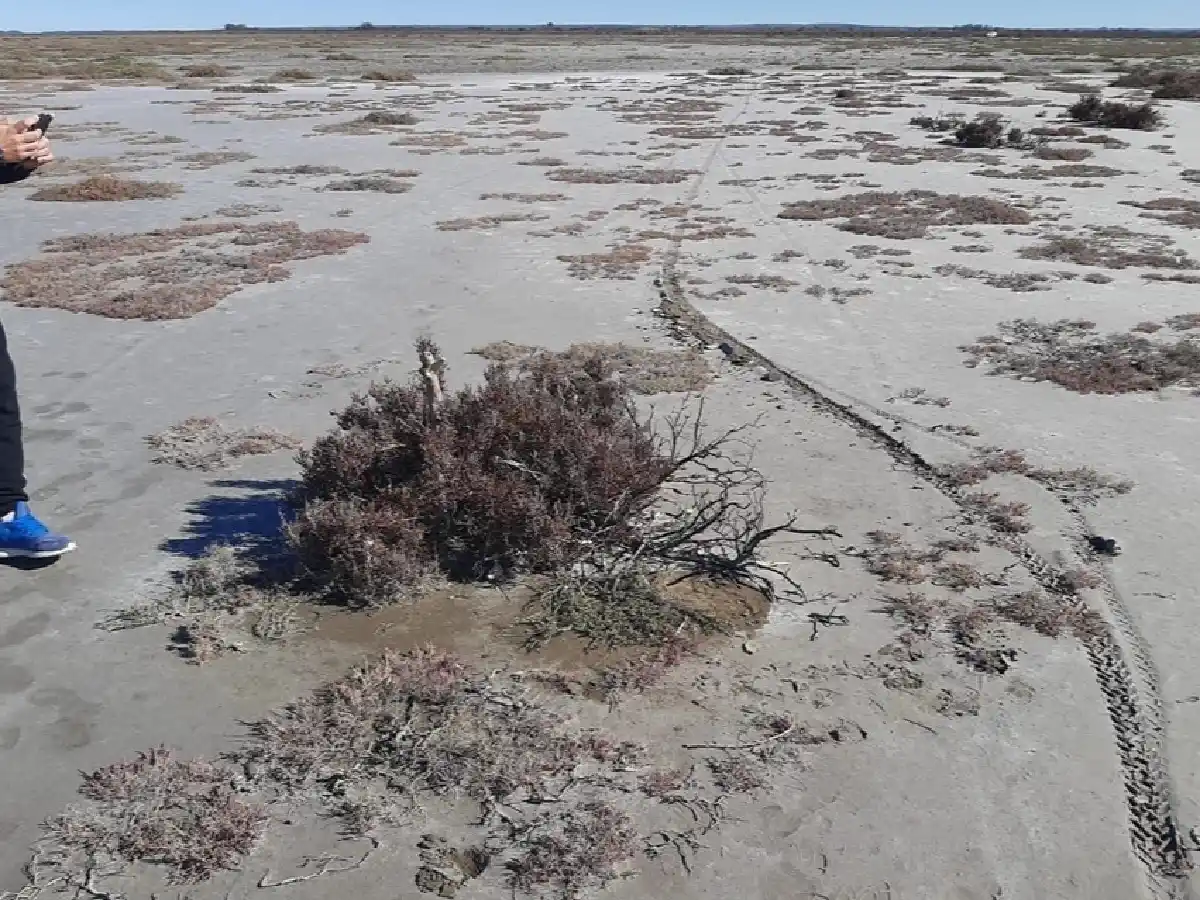 El abogado de la madre de Facundo Astudillo consideró que el hallazgo de la mochila es "muy extraño"