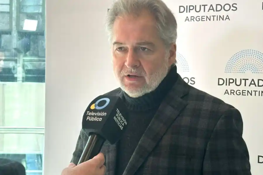 Mirabella, sobre los créditos UVA: "Tenemos que lograr que esta herramienta siga teniendo validez"