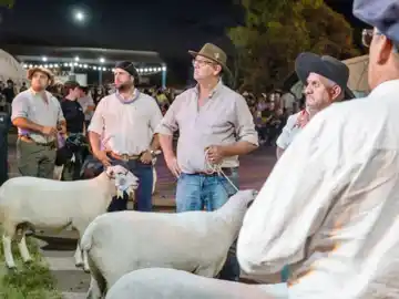 8ª Expo Ovina en Urdinarrain, la mayor muestra de la región