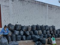 Punto Verde Tandil invita a una jornada abierta sobre compostaje y reciclaje