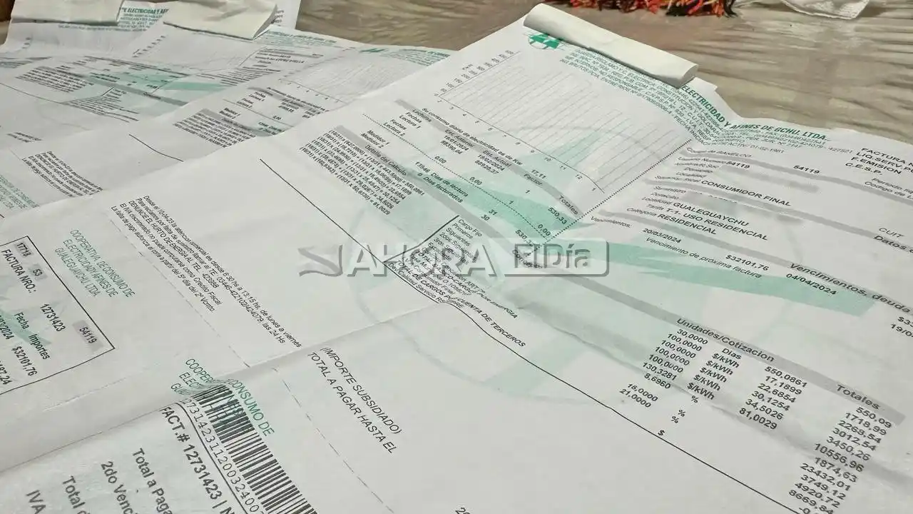 Nuevo incremento de la luz: “Una gran cantidad de usuarios busca el refinanciamiento en cuotas para pagar sus facturas”