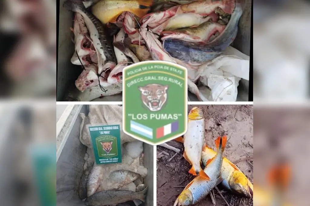 Decomisaron más de 100 piezas y sancionaron a tres personas por pesca ilegal