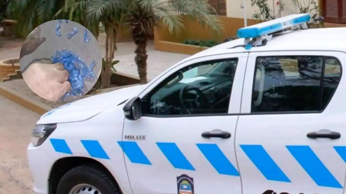 Secuestran más de 290 dosis de cocaína tras detener a un dealer