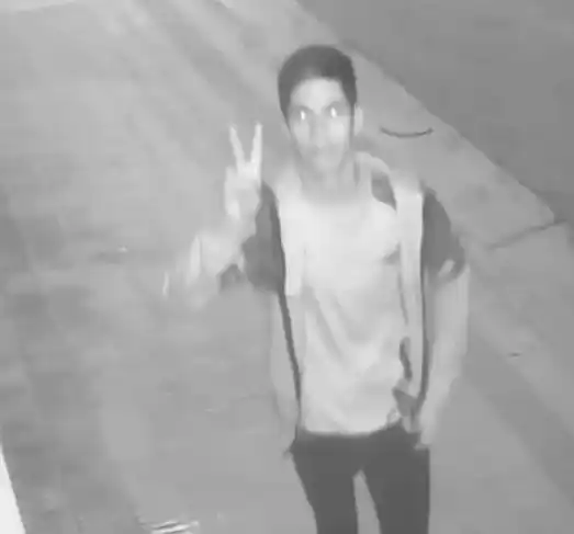 Procuran dar con un adolescente que rompió una cámara de seguridad