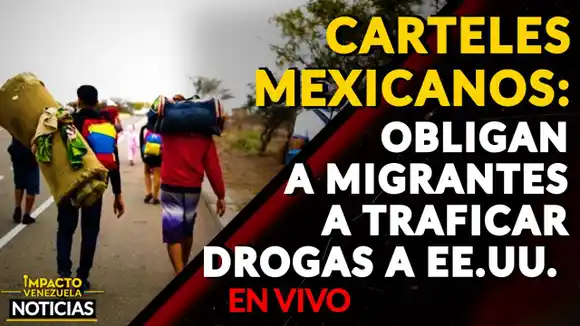 MAFIAS DEL TERROR: Obligan a migrantes a traficar drogas de México  a EE.UU. VIDEO – IMPACTO VENEZUELA