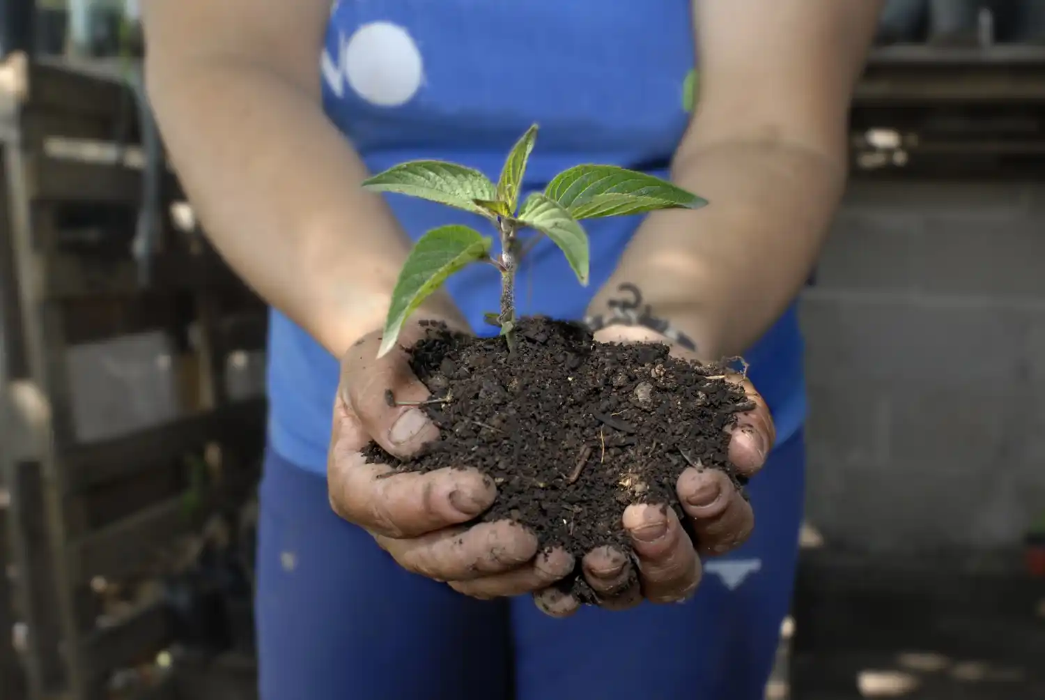 Rosario: Se realiza la primera edición de La Huerta en Casa