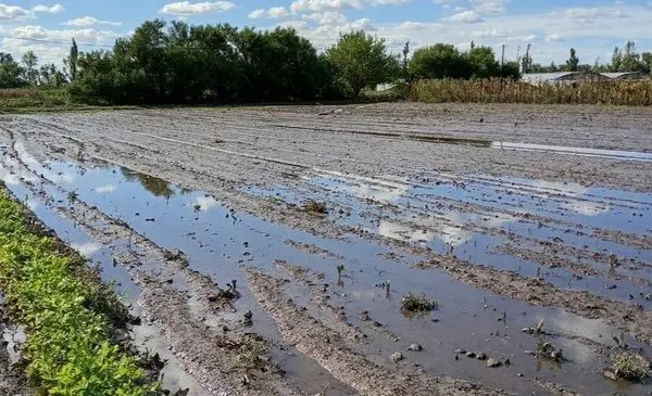 El temporal del 7 de marzo afectó a gran parte del sur bonaerense.