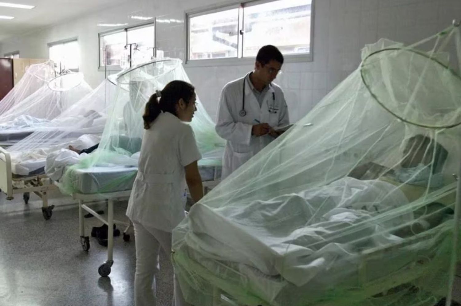 Confirmaron tres muertes por dengue en Tucumán mientras aumentan los casos en todo el país