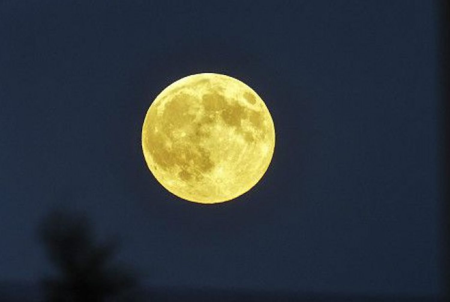 El 14 de noviembre se podrá observar el fenómeno de la superluna