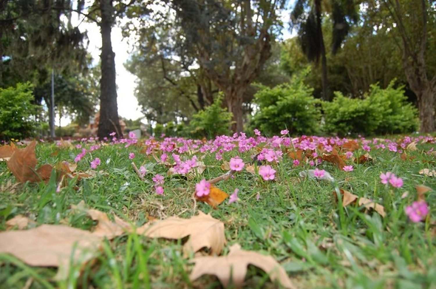 Un día a pleno sol de otoño en Gualeguaychú