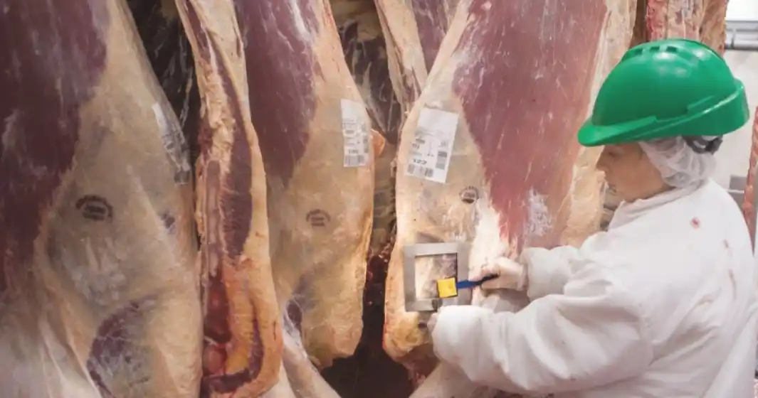 Luego de 8 años de negociaciones, Argentina exportará carne bovina a México