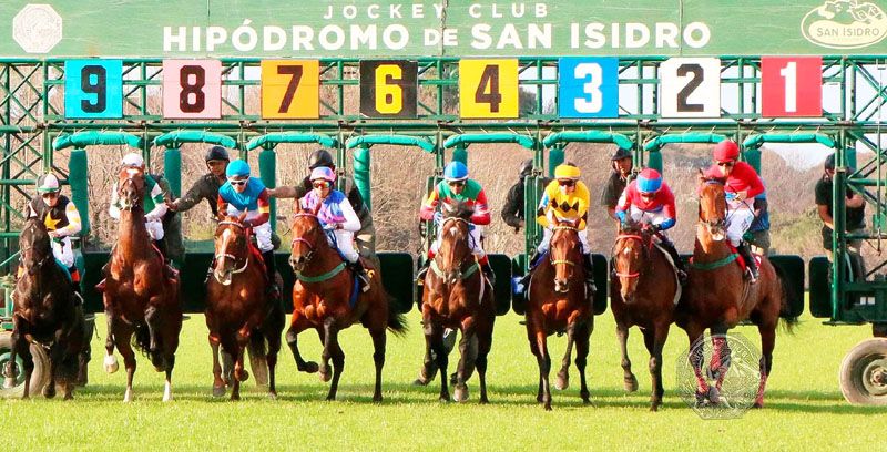 Miércoles 13: Actividad Hipódromo de San Isidro