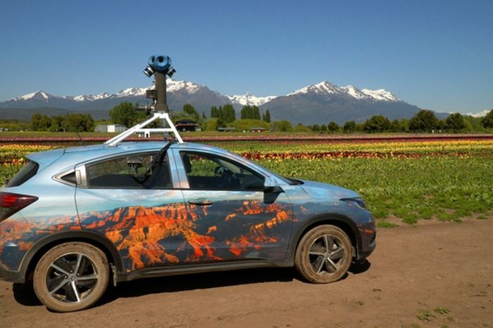 El auto de Google Maps retratando los campos de tulipanes en Trevelin. Foto: Google Argentina