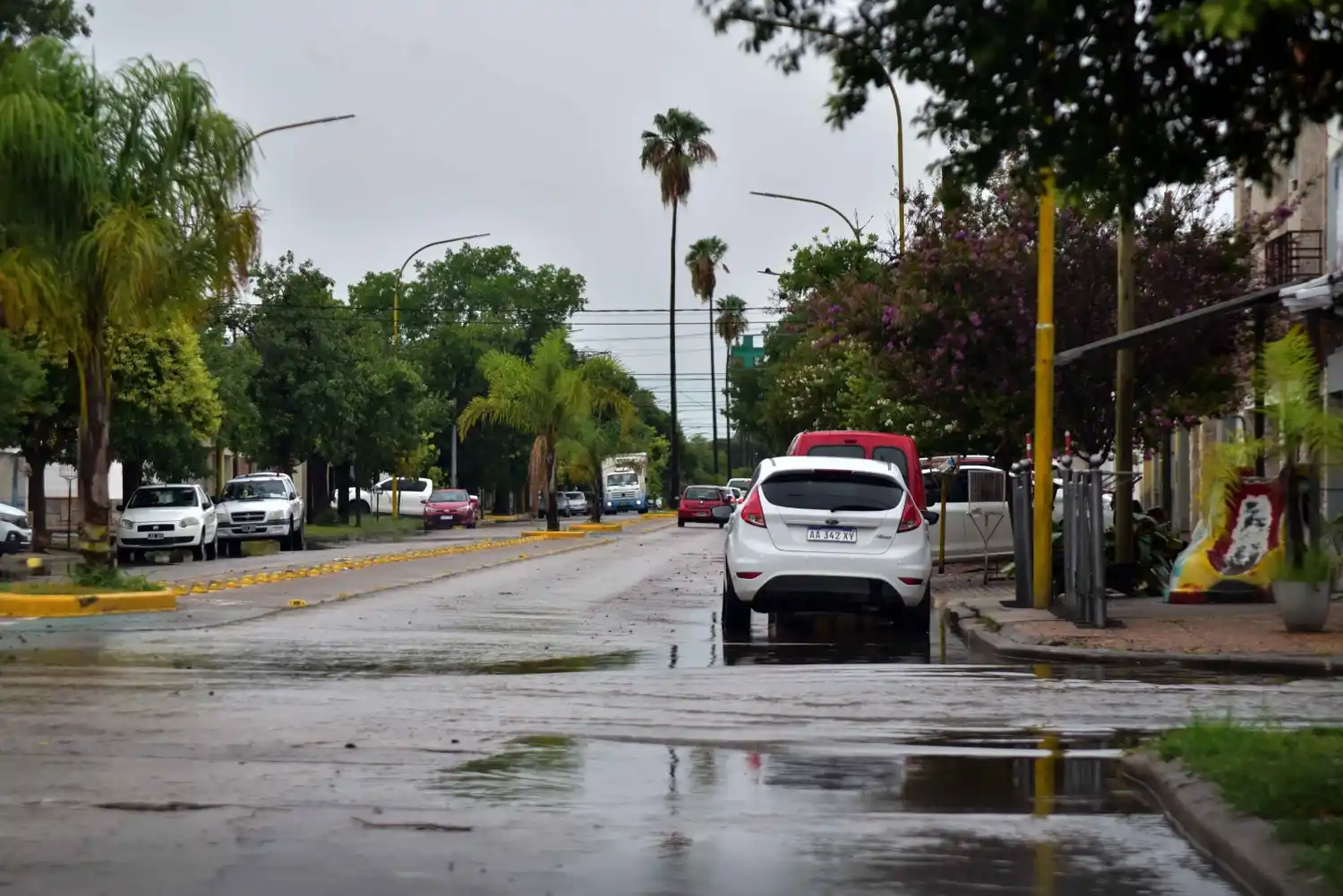 Las lluvias estuvieron presentes en noviembre pero fue inferior a los últimos años.
