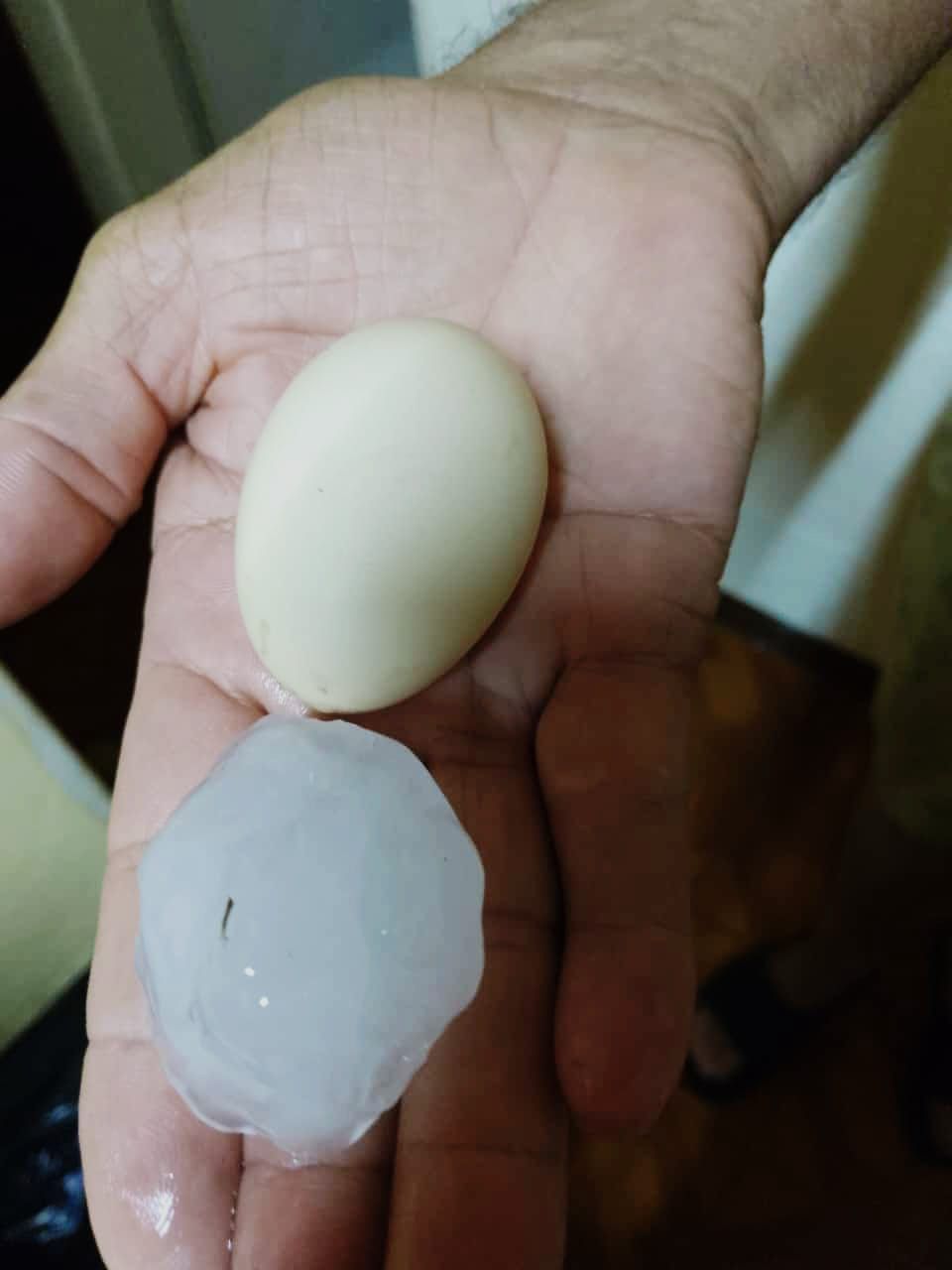 El tamaño del granizo caído en Galarza