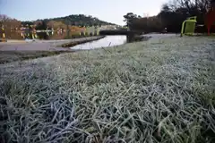 Pronostican cuatro grados bajo cero para el sábado en Tandil