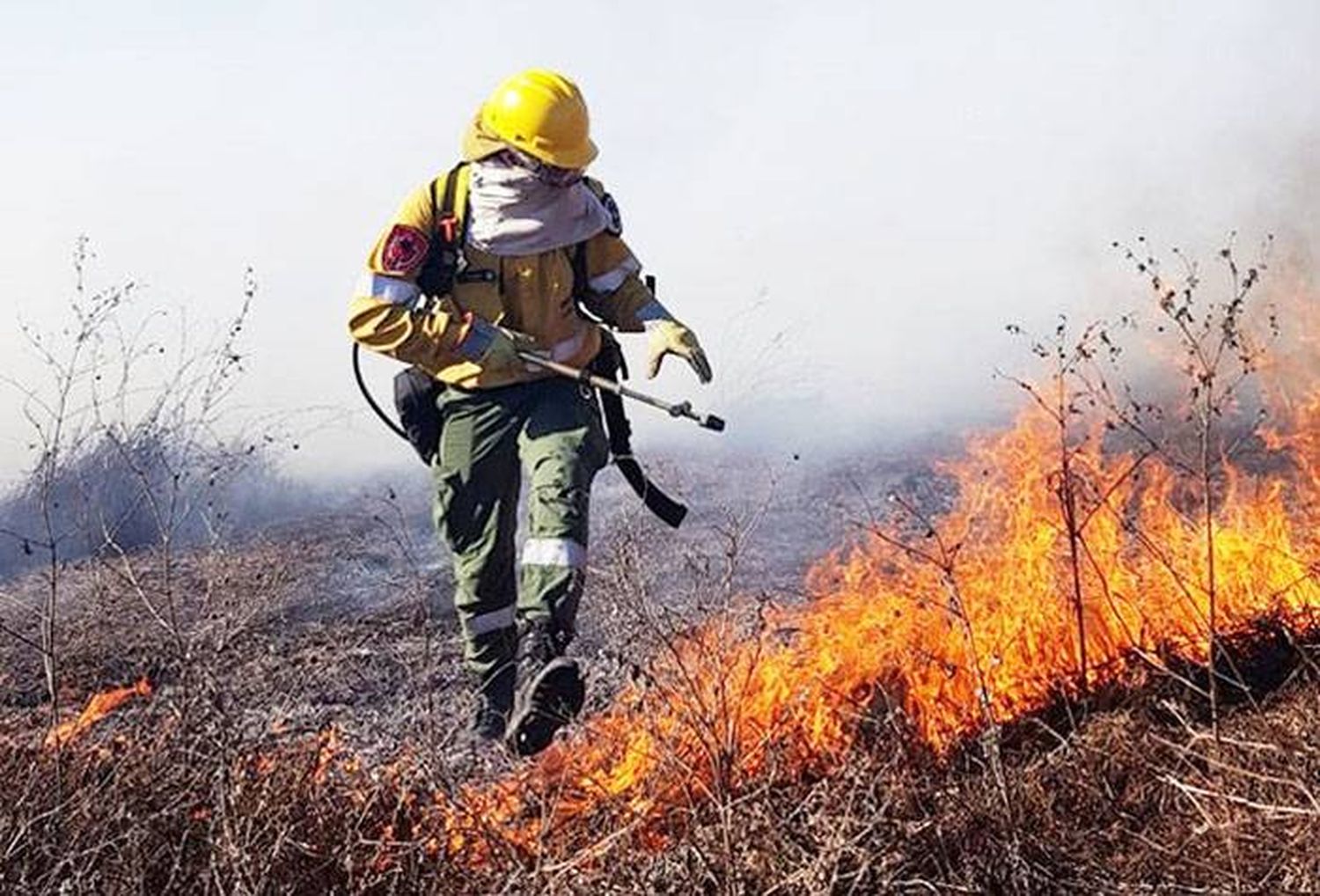 Productores fueron al Senado  a explicar que no causan  los incendios