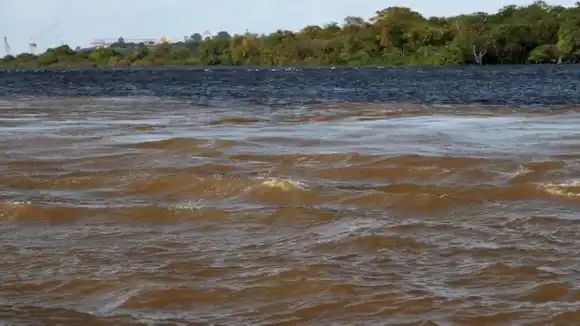 TRAGEDIA EN EL ORINOCO: madre y su pequeño hijo cayeron de una curiara y fueron devorados por pirañas