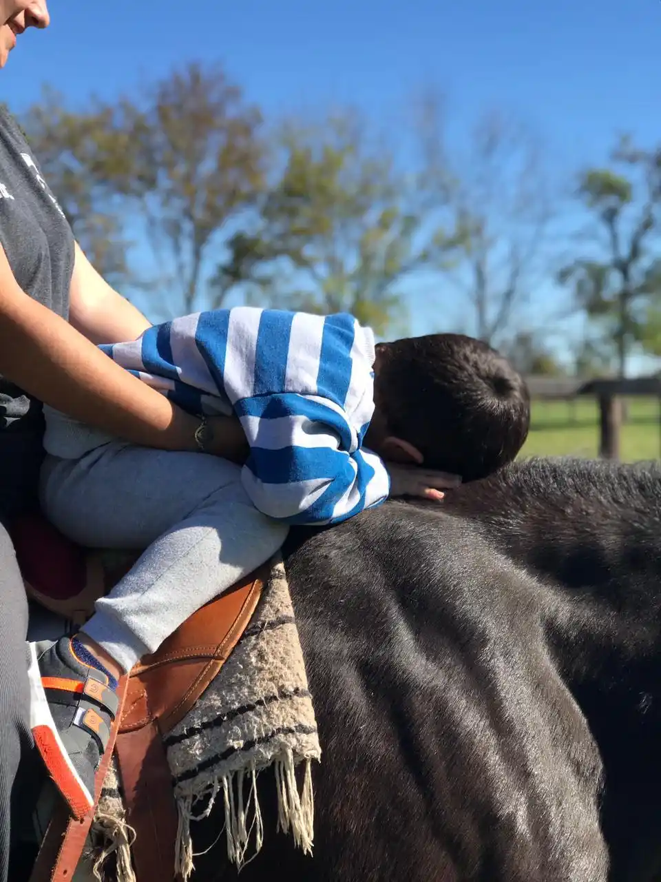 El gran trabajo del Cobijo