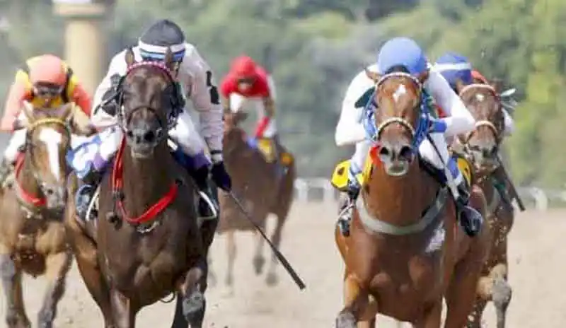 Jueves 4: Actividad Hipódromo de La Plata